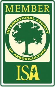 isa-logo1 isa-logo1
