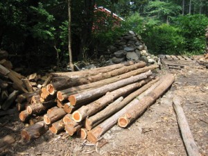 Cedar posts This is about a 1/4 of the cedar posts