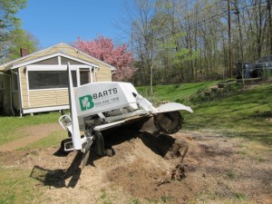 Stump grinding in new milford