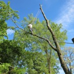 IMG_0423_1