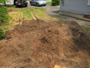 Mulch left from stump grinding